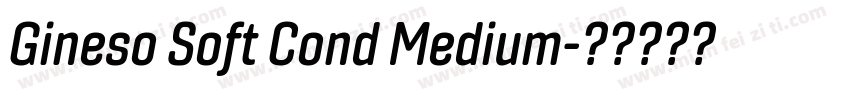 Gineso Soft Cond Medium字体转换
